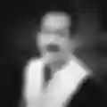Mehshar Afridi