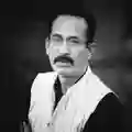 Mehshar Afridi